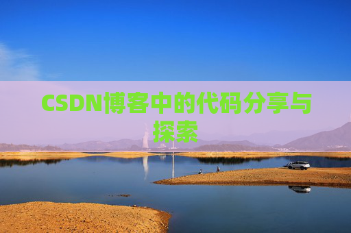 CSDN博客中的代码分享与探索